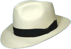 Panama Hats