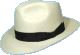 Panama hat, which is a type of straw hat